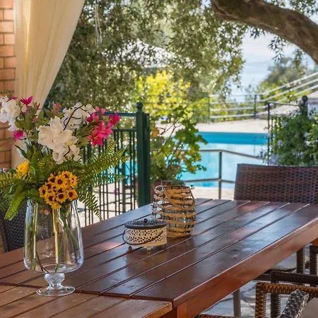 Villa Andonis Nissaki Large With Large Pool ,spectacular View Very Near To The